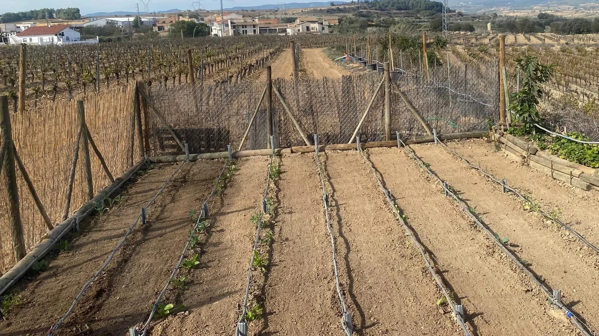 Cal Castla Villa La Granada Spain